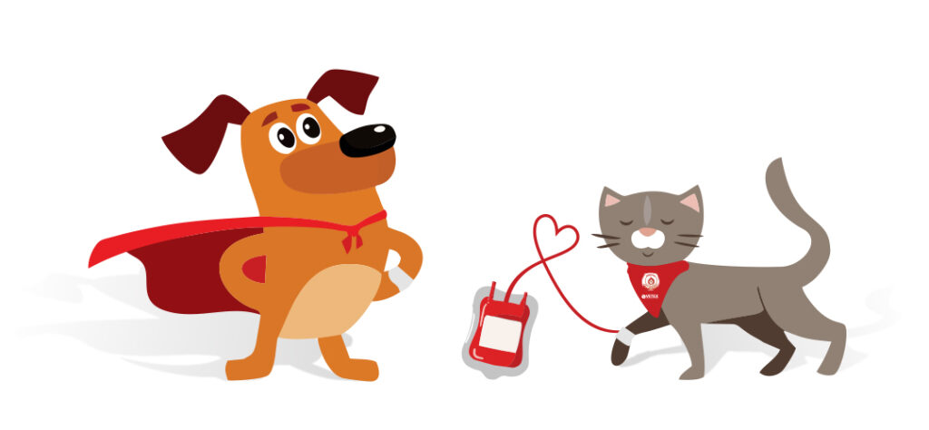 Leia mais sobre o artigo Campanha ´´Pet Herói“ de incentivo à doação de sengue para animais domésticos Lei 9738/2022